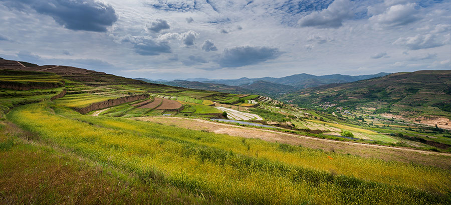 尊龙凯时·(中国区)人生就是搏!